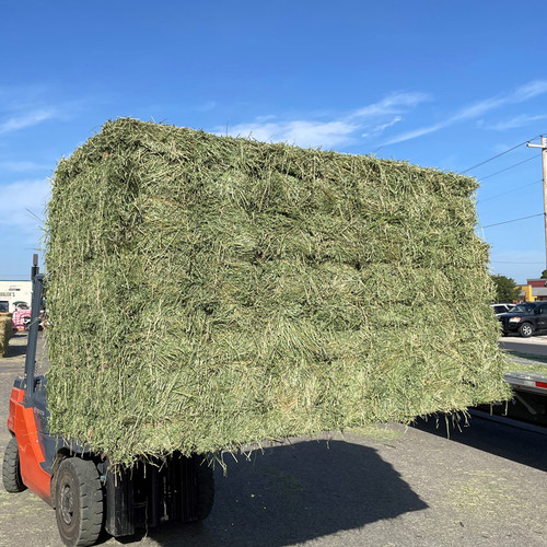 ALFALFA  2-STRAND  (62.1b avg)