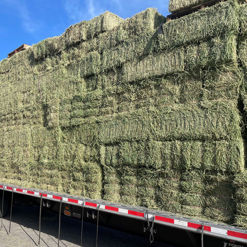 ALFALFA 3-STRAND  (92.7 AVG Weight)