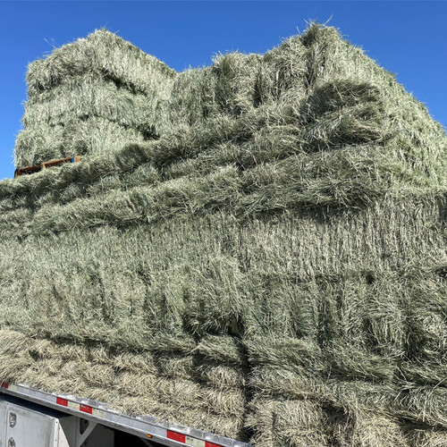 COASTAL 3-STRAND (96.83 # Avg wt) COASTAL 3-STRAND (96.83 # Avg wt)