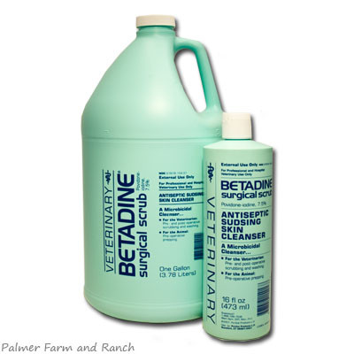 BETADINE SURGICAL SCRUB GAL
