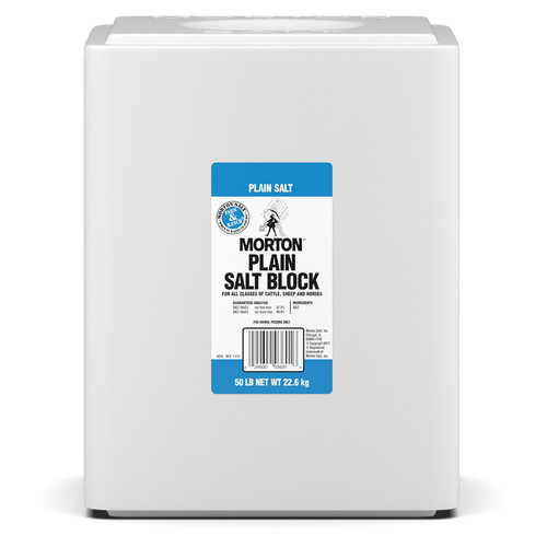 MORTON PLAIN SALT BLOCK 50#