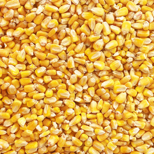 R/C CORN 50#