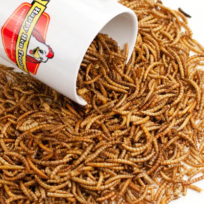 HAPPY HEN MEALWORM 3.5oz, 100% NATURAL DRIED MEALWORMS