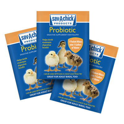 SAV-A-CHICK PROBIOTIC SUPPLEMENT, 3 PACK