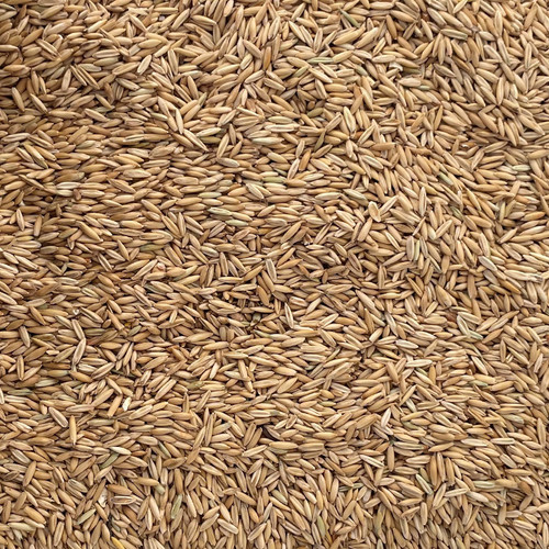 PALMER'S HEAVY RACE HORSE OATS 50#