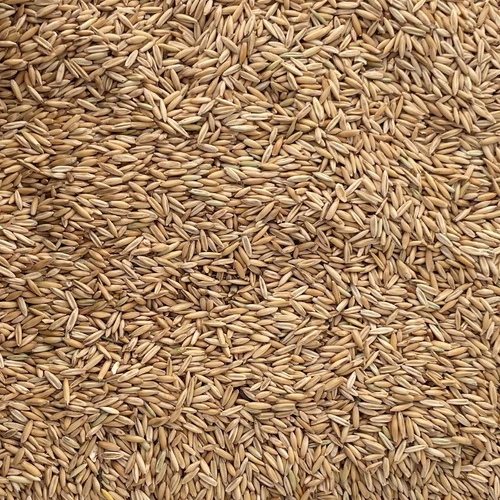 PALMER'S HEAVY RACE HORSE OATS 50#