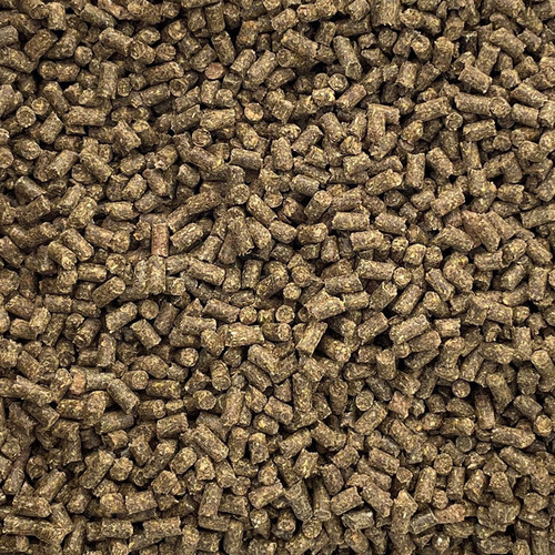 ENDURO HORSE SENSE 50# 1/4" ENDURO HORSE SENSE 50# 1/4"