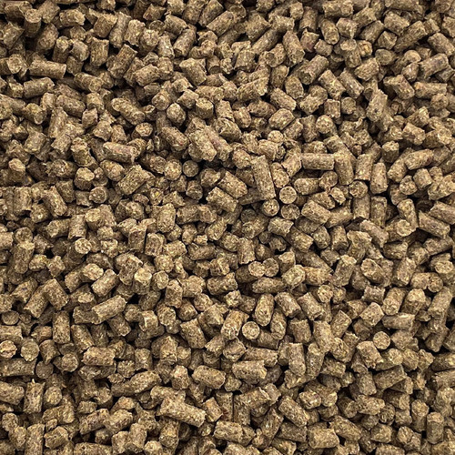 ENDURO SENIOR PLUS 50# 1/4"