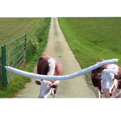 COW LIFE CATTLE RUB 10', BACKRUB