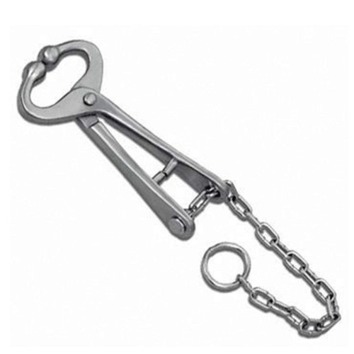 BULL LEAD W/CHAIN