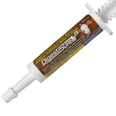 C&E DIGESTISURE 2X CALF PASTE 15GM PROBIOTICS & MORE