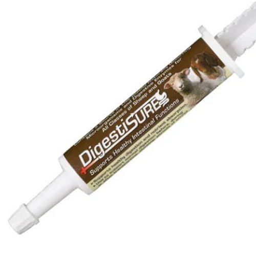 C&E DIGSTISURE SHEEEP/GOAT PASTEE 30GM