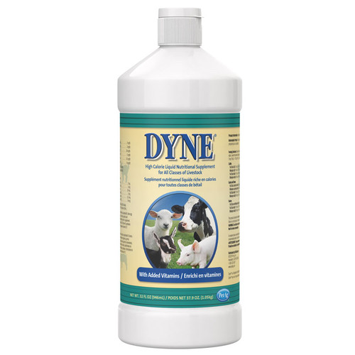 DYNE LIVESTOCK DIETARY SUPPLEMENT 32oz