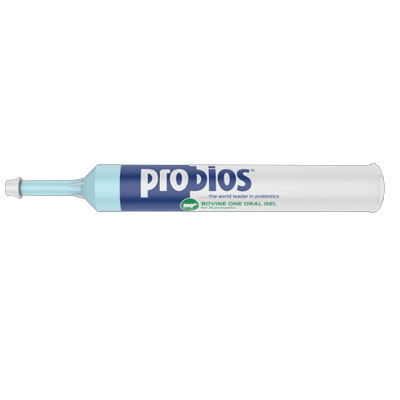 PROBIOS MAX GEL 60 GRAM