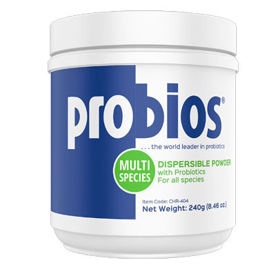 PROBIOS DISPERSIBLE POWDER 240g, FOR ALL SPECIES