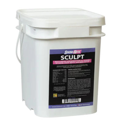 SHOWRITE SCULPT 20#