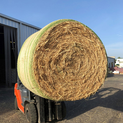 COASTAL BERMUDA  ROUNDBALE #1 NET WRAP