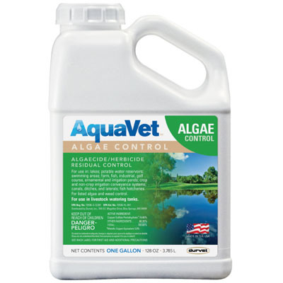 AQUAVET ALGAE CONTROL 1 GAL