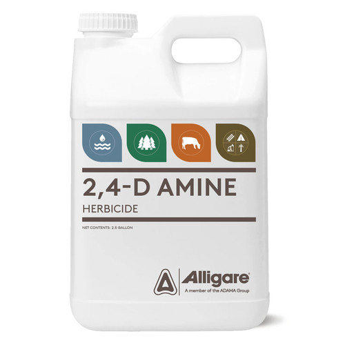 ALG 2,4-D AMINE 2.5gal *RESTRICTED*