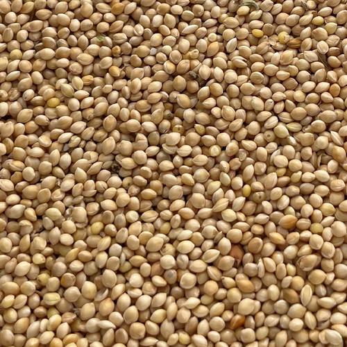 WHITE PROSO MILLET-50#