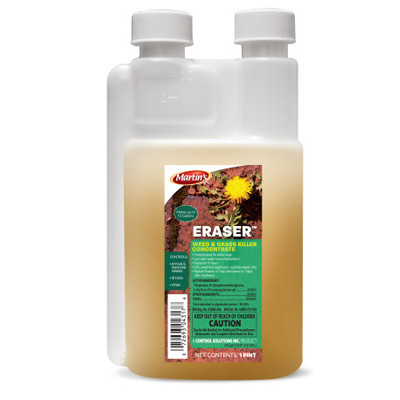 ERASER 16oz