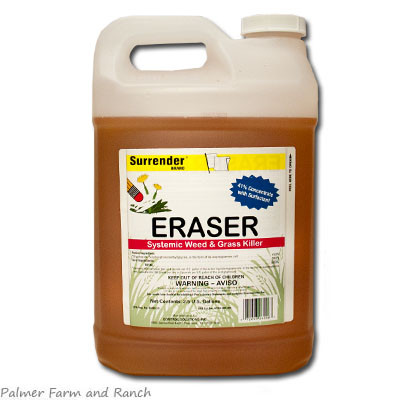 ERASER 1 GAL