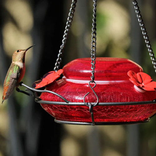 *D NATURE'S WAY MODERN TOP FILL RED HUMMINGBIRD FEEDER