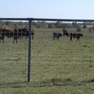 STOCK PANEL 3'X20' 4X4 6GA