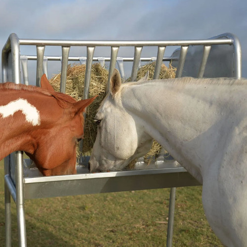 BUNK FEEDER, 4' GALVANIZED, GRAIN & HAY HORSE FEEDER