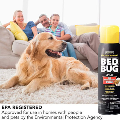 HARRIS BED BUG BLACK AEROSOL EGG KILL & PYRETHROID RESISTANT 16oz