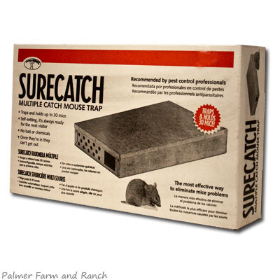 LITTLE GIANT SURE CATCH RODENT TRAP, Measures 10.25 in L X 6.5 in W X 2 in H