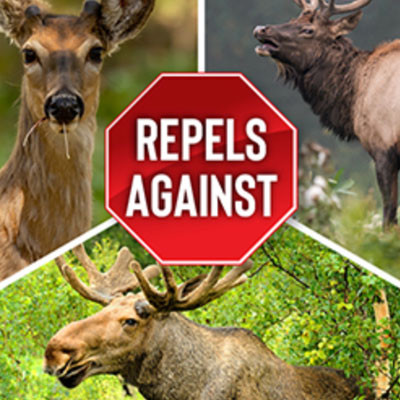 MESSINAS DEER STOPPER II HOSE END CONCENTRATE, 32oz