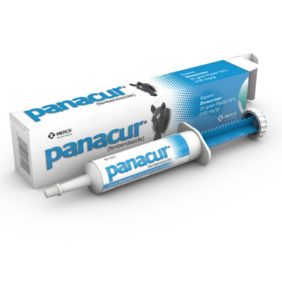 PANACUR (Fenbendazole) EQUINE DEWORMER, 25g PASTE 10%, MERCK