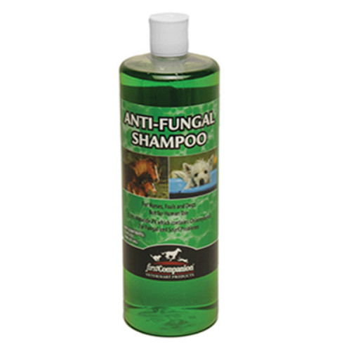 ANTI-FUNGAL SHAMPOO 32oz, FIRST COMAPNION