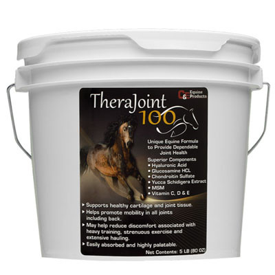 C&E THERA-JOINT 100 5lb, JOINT SUPPLEMENT