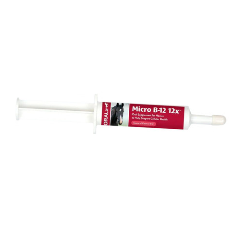ORALX MICRO B-12 12X 34 gm PASTE