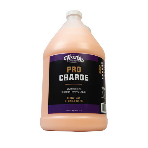 WEAVER PROCHARGE 1 GAL, RECONDITIONING LIQUID