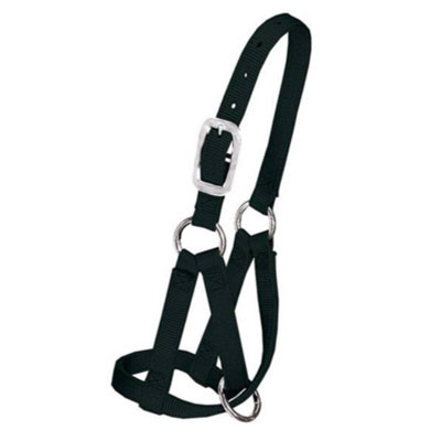 NYLON LLAMA HALTER SMALL BLACK