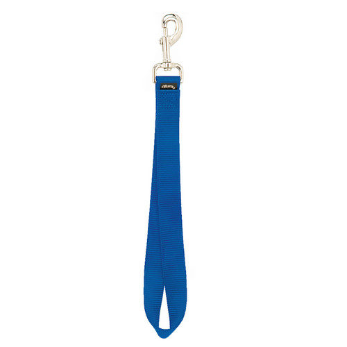 NYLON GOAT LEAD, 12" LOOP  BLUE