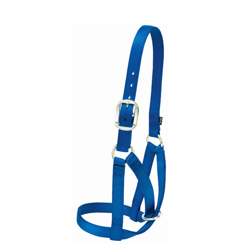 BARN COW HALTER, 1" SMALL BLUE