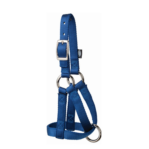 NYLON GOAT HALTER-3/4" MEDIUM NAVY