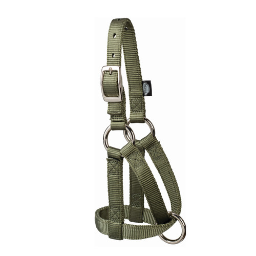 NYLON GOAT HALTER-3/4", LARGE HUNTER GREEN