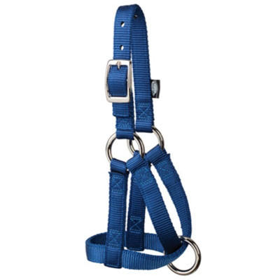 NYLON GOAT HALTER-3/4", LARGE NAVY
