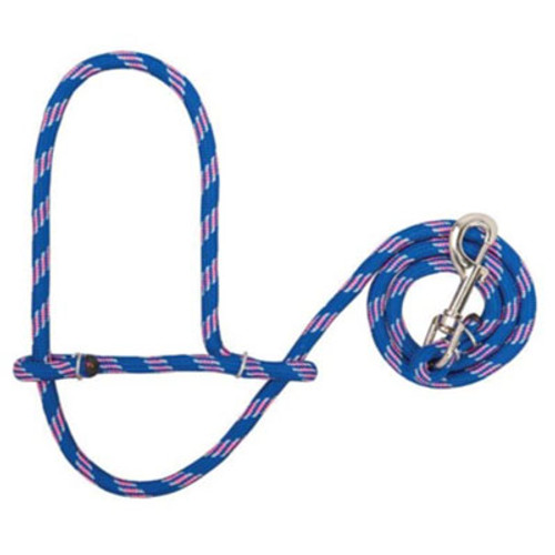 *D 3/8" POLY ROPE SHEEP HALTER WITH SNAP, ROYAL BLUE/BERRY