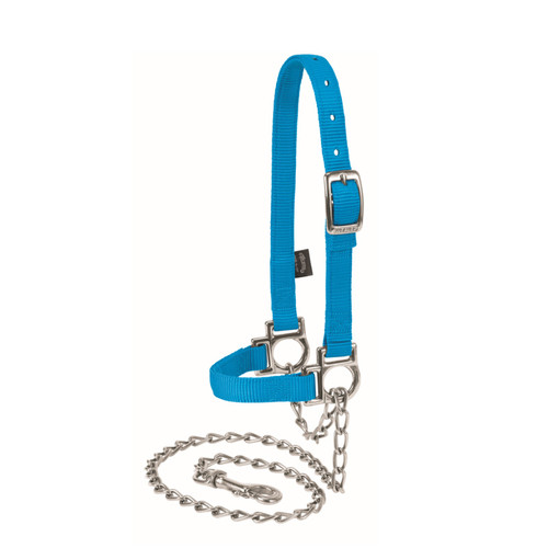 NYLON ADJUSTABLE SHEEP HALTER WITH CHAIN LEAD, HURRICANE BLUE, 35-8110-HB