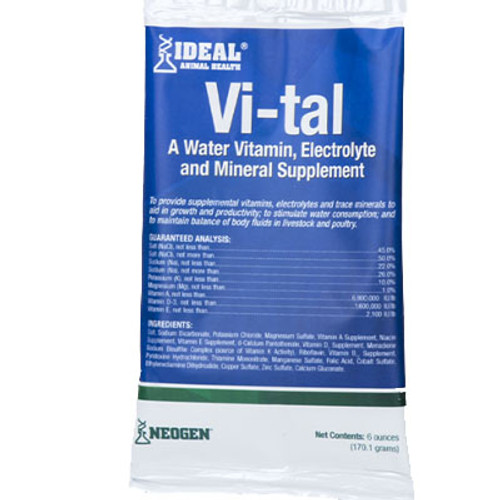 IDEAL VI-TAL 6oz - VITAM, ELECTROLYTE, MINERAL SUPPLEMENT