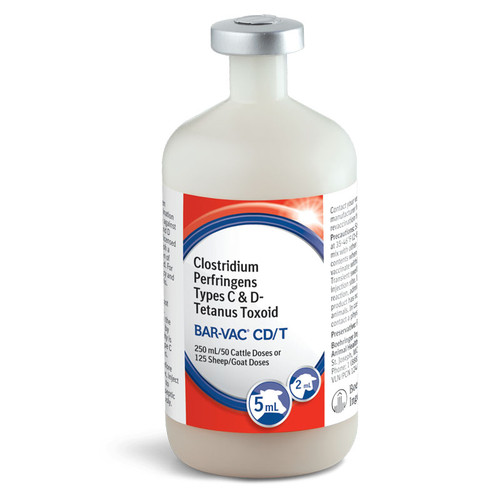 C & D TOXOID W/TETANUS 250ML (50 Dose), OVEREATING