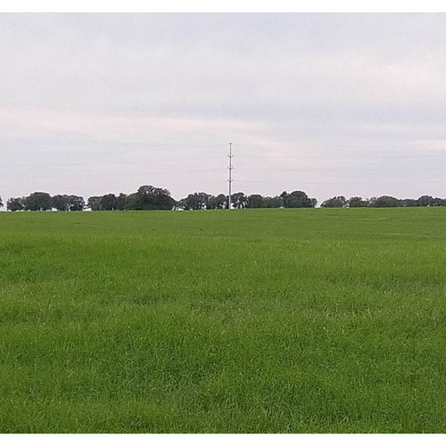 GIANT HULLED & COATED BERMUDA (98/85) 1#