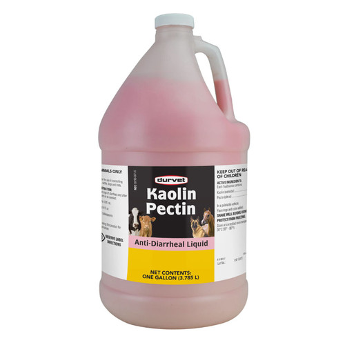 KAOLIN-PECTIN 1GAL, DURVET/ASPEN