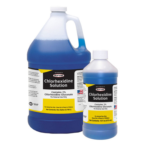 CHLORHEXIDINE SOLUTION 2%  16oz